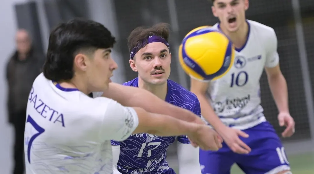 Volley-ball Élite masculine : Cesson Saint-Brieuc s’impose sans difficulté à Halluin