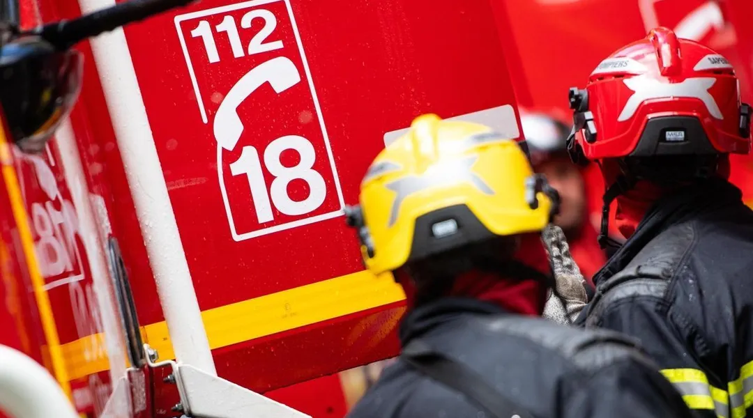 Un homme meurt coincé sous un arbre dans le nord de l'Ille-et-Vilaine