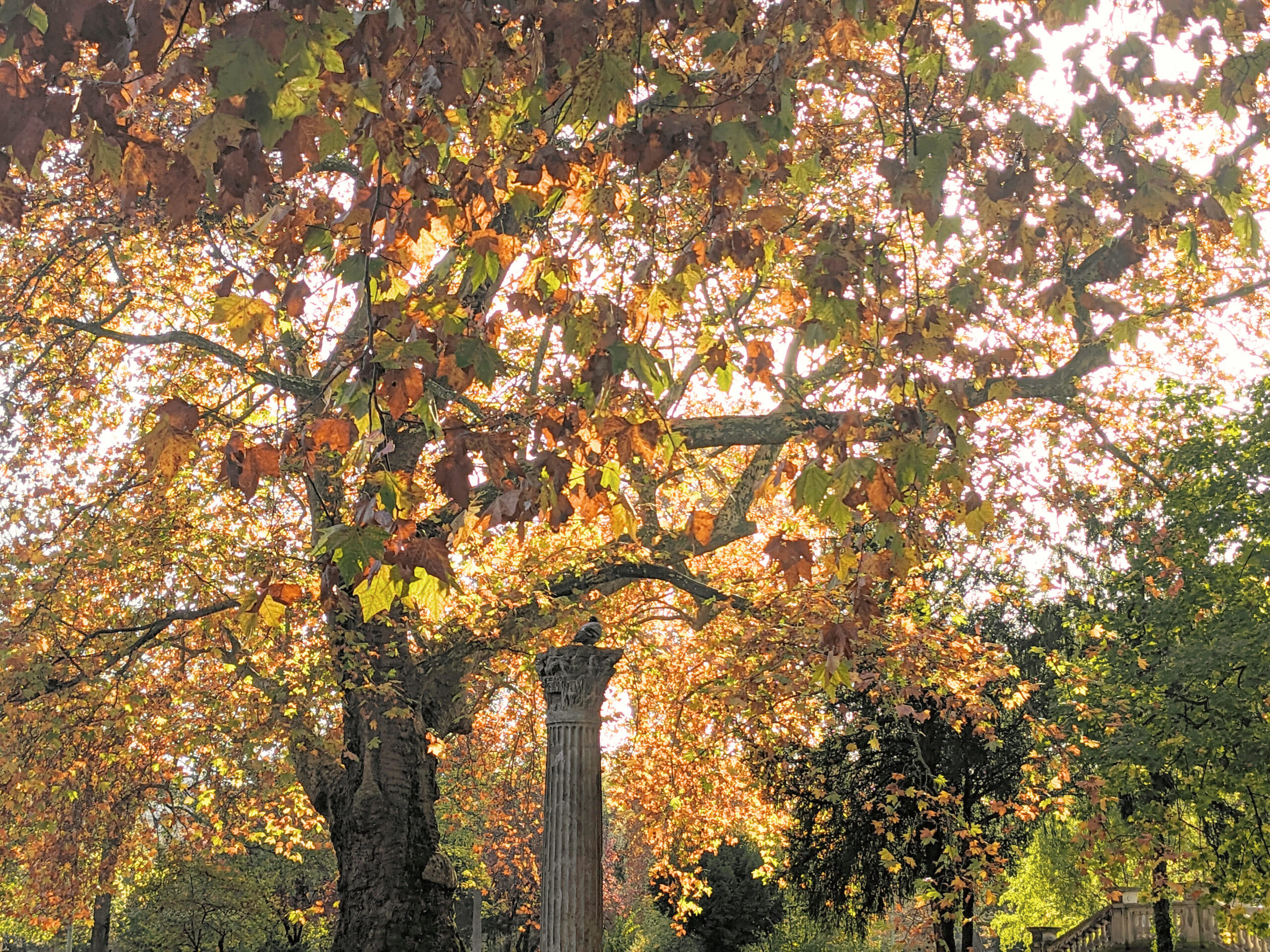 Paris : un automne 2025 marqué par des contrastes climatiques