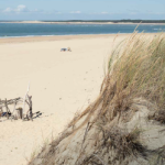 La migration avortée des Helvètes explorée en photographies au Musée romain d'Avenches | RTS