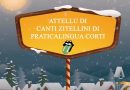 Praticalingua Corti è i zitelli di l’attellu di cantu vi preganu un bon Natale !
#LinguaFacePopulu
#ParlaCorsuResisti | Praticalingua Corti