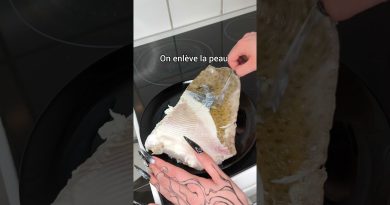 Préparer la raie : astuces et recettes savoureuses