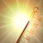 Réchauffement climatique : 2025 parmi les années les plus chaudes depuis 1900