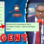 🔴 Remaniement : Enjeux, Intérêts et Conséquences Dévoilés