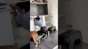 Rénovez votre cuisine sans vous ruiner