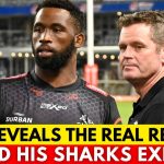 🚨SIYA S'EXPRIME SUR SON DÉPART DES SHARKS | ACTUALITÉS SPRINGBOKS