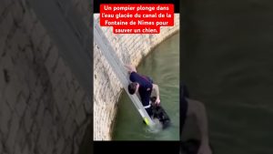 Sauvetage héroïque d'un chien par les pompiers à Nîmes