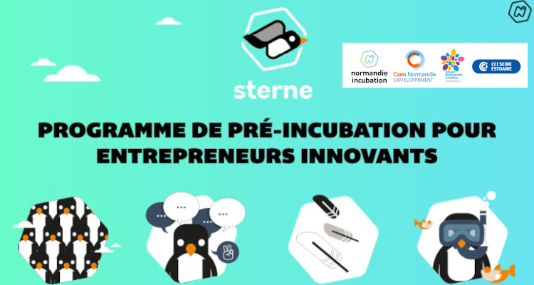 STERNE propose un accompagnement structuré pour renforcer la solidité des projets d’entreprise