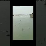 Tempête : Pluie, Vent et Marée sur la Côte