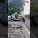 Tendances Twitter : le phénomène #birdtrend