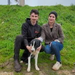 Tondeur de moutons : salaire, formation et réalité d'un métier en pleine évolution