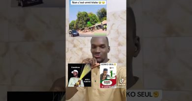 Top TikToks 2025 : Les incontournables à ne pas manquer !