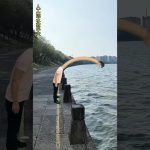 Transport d'eau artificiel : solution contre la sécheresse #24