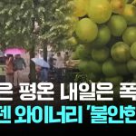 Un avenir incertain : vendanges paisibles, pluies torrentielles en Suède