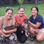 Le premier refuge animal de Polynésie en passe de voir le jour à Moorea