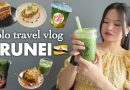 Vlog : 2 jours en solo à Brunei, café et matcha 🥹