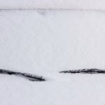 Le Maine-et-Loire placé en vigilance orange pour la neige et le verglas - Actualité Angers Villactu