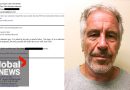 Vote imminent sur la publication des dossiers Epstein : Trump interviendra-t-il ?