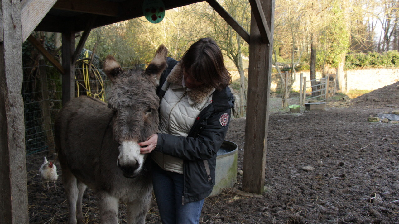 Florence Mallet pratique la communication animale dans l’Orne grâce à la télépathie