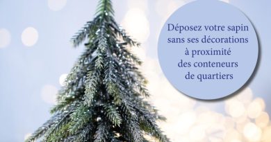Collecte gratuite des sapins de Noël