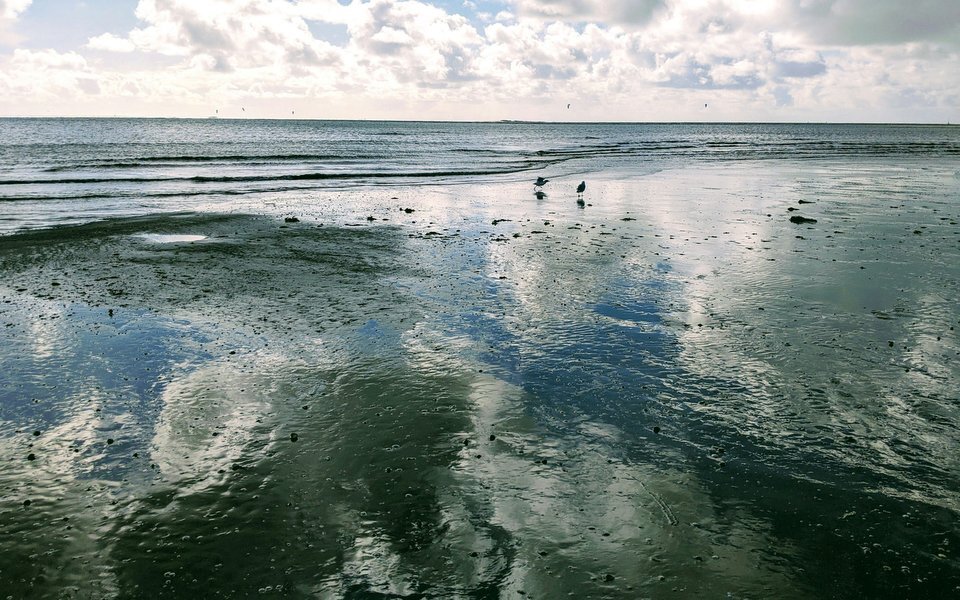 Première semaine de janvier marquée par des contrastes en Loire-Atlantique