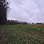 Météo en Belgique : pluie matinale suivie d'un après-midi plus sec - RTBF Actus