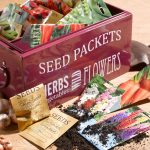 Janvier : le moment idéal pour réaménager son jardin - RTBF Actus