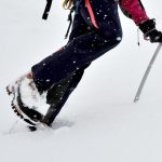 Le Berry Républicain