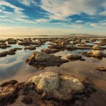 Une créature jamais vue auparavant découverte dans le Grand Lac Salé.