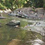 Pollution de l’eau : les pesticides toujours très présents en Martinique et en Guadeloupe