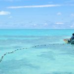 Des microplastiques présents dans un tiers des poissons de plusieurs pays du Pacifique