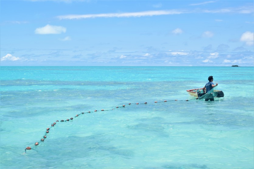 Des microplastiques présents dans un tiers des poissons de plusieurs pays du Pacifique
