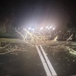 Tempête Goretti en Vendée : 1000 foyers privés d'électricité, des chutes de lignes électriques et d'arbres