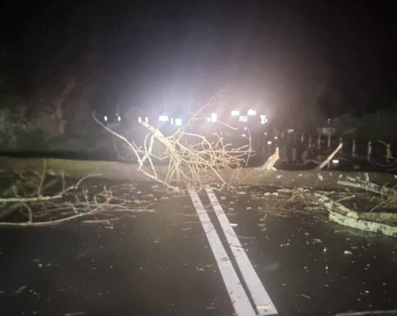 Tempête Goretti en Vendée : 1000 foyers sans électricité, lignes et arbres tombés