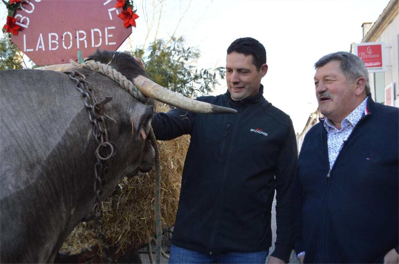 Gironde : la fête des Boeufs Gras se tiendra à Grignols comme prévu