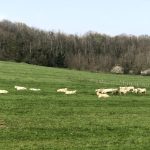 Randonnée au belvédère des Deux Lacs : un panorama à ne pas manquer
