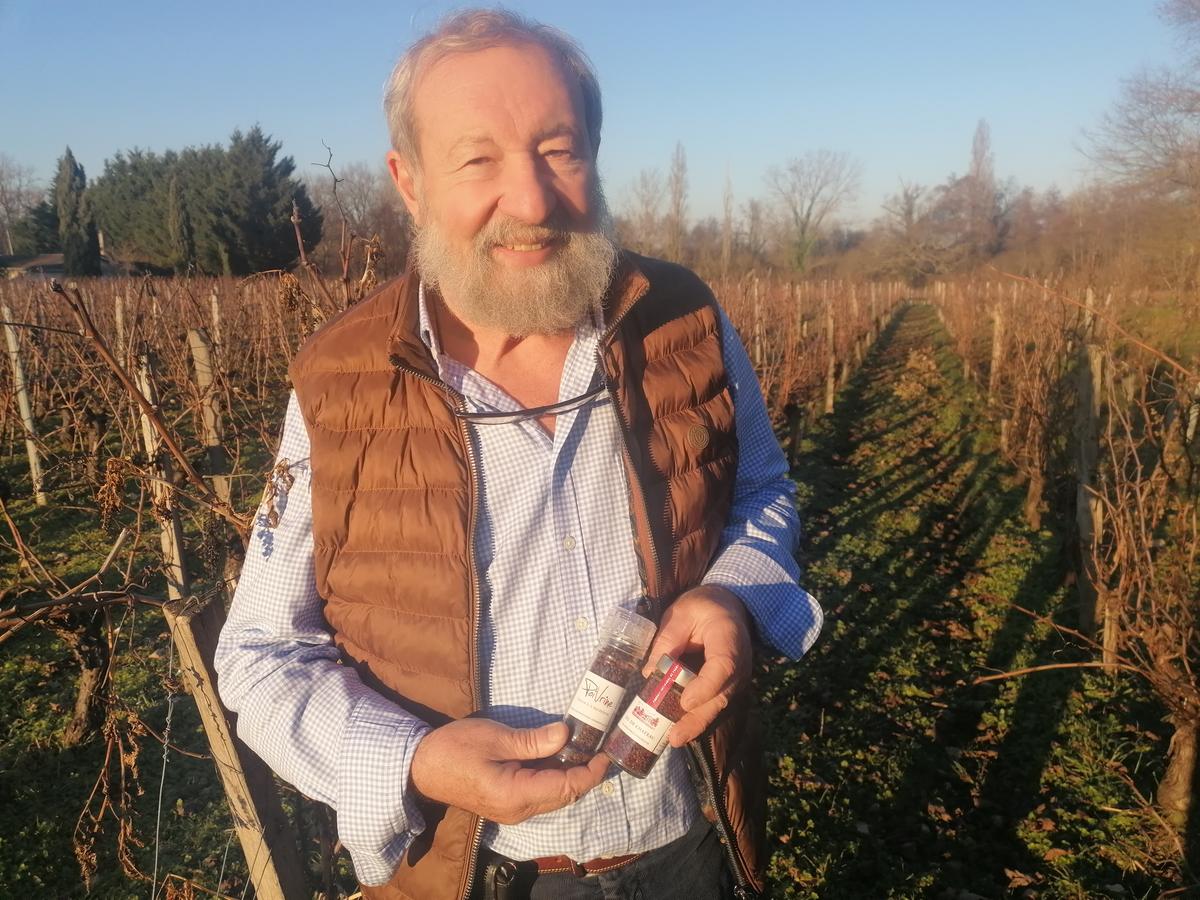 Montagne : au château Tour du Pas Saint-Georges, Pascal Delbeck innove avec du sel dans son vin