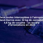 Deux mules interceptées à l’aéroport Roland-Garros avec 32 kg de cannabis et 4,6 kg de cocaïne : un record d’arrestations en 2025