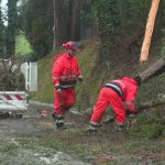 Tempête Goretti : un "retour progressif à la normale" dans les Hauts-de-France, mais 1500 foyers toujours privés d'électricité en Picardie