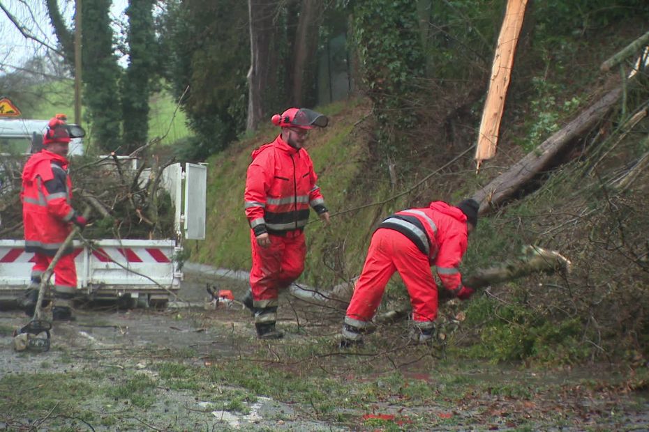 Tempête Goretti : 1500 foyers encore privés d’électricité en Picardie malgré l’amélioration