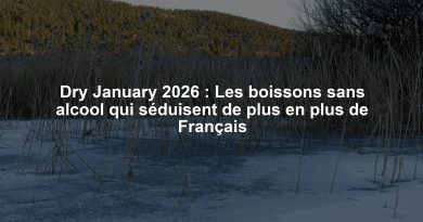 Dry January 2026 : Les boissons sans alcool qui séduisent de plus en plus de Français Dry January 2026 : Les boissons sans alcool qui séduisent de plus en plus de Français