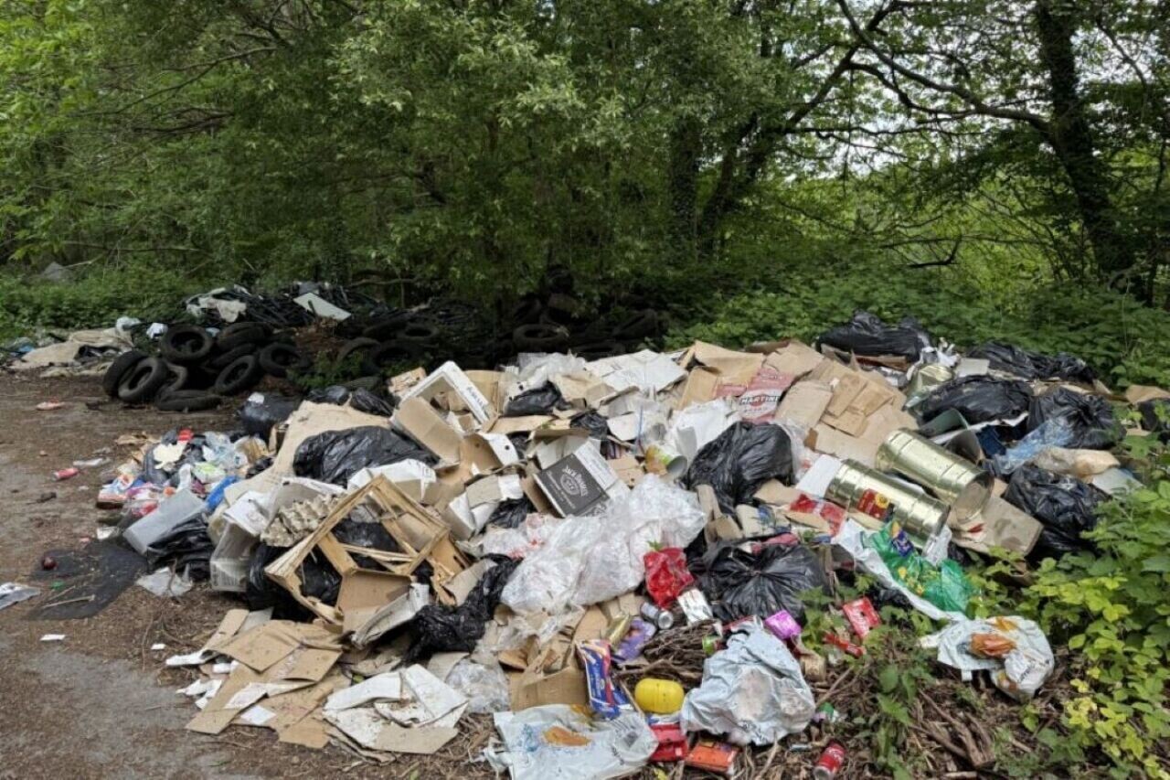 Seine-et-Marne : une ville répond à la hausse des dépôts sauvages par des amendes administratives