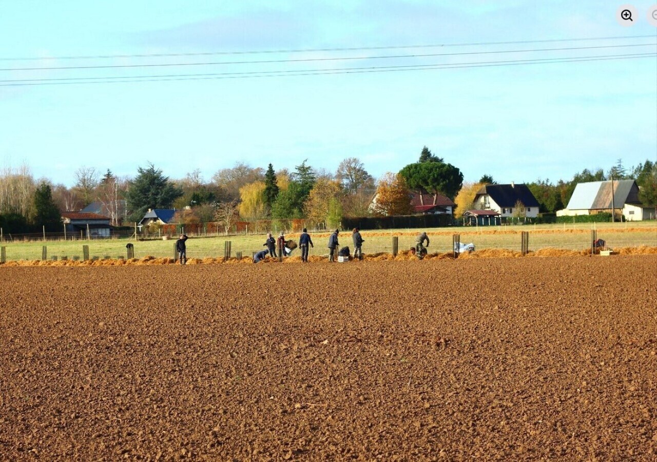 La ferme bio Les Pâtures transforme ses pâturages avec l’agroforesterie