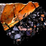 Des os fossilisés dévoilent des secrets d'un monde disparu.