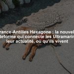 France-Antilles Hexagone : la nouvelle plateforme qui connecte les Ultramarins à leur actualité, où qu’ils vivent