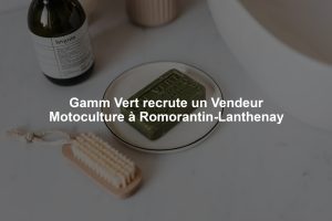 Gamm Vert recrute un Vendeur Motoculture à Romorantin-Lanthenay