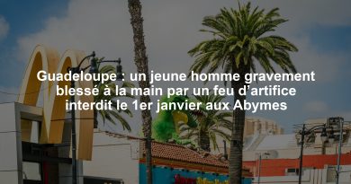 Guadeloupe : un jeune homme gravement blessé à la main par un feu d’artifice interdit le 1er janvier aux Abymes