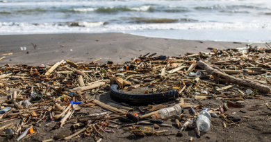 Pluies et inondations : les déchets du fleuve Hérault finissent en Méditerranée à chaque pluie
