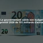 Le gouvernement valide son budget primitif 2026 de 101 milliards d'euros