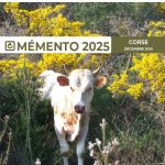 Mémento 2025